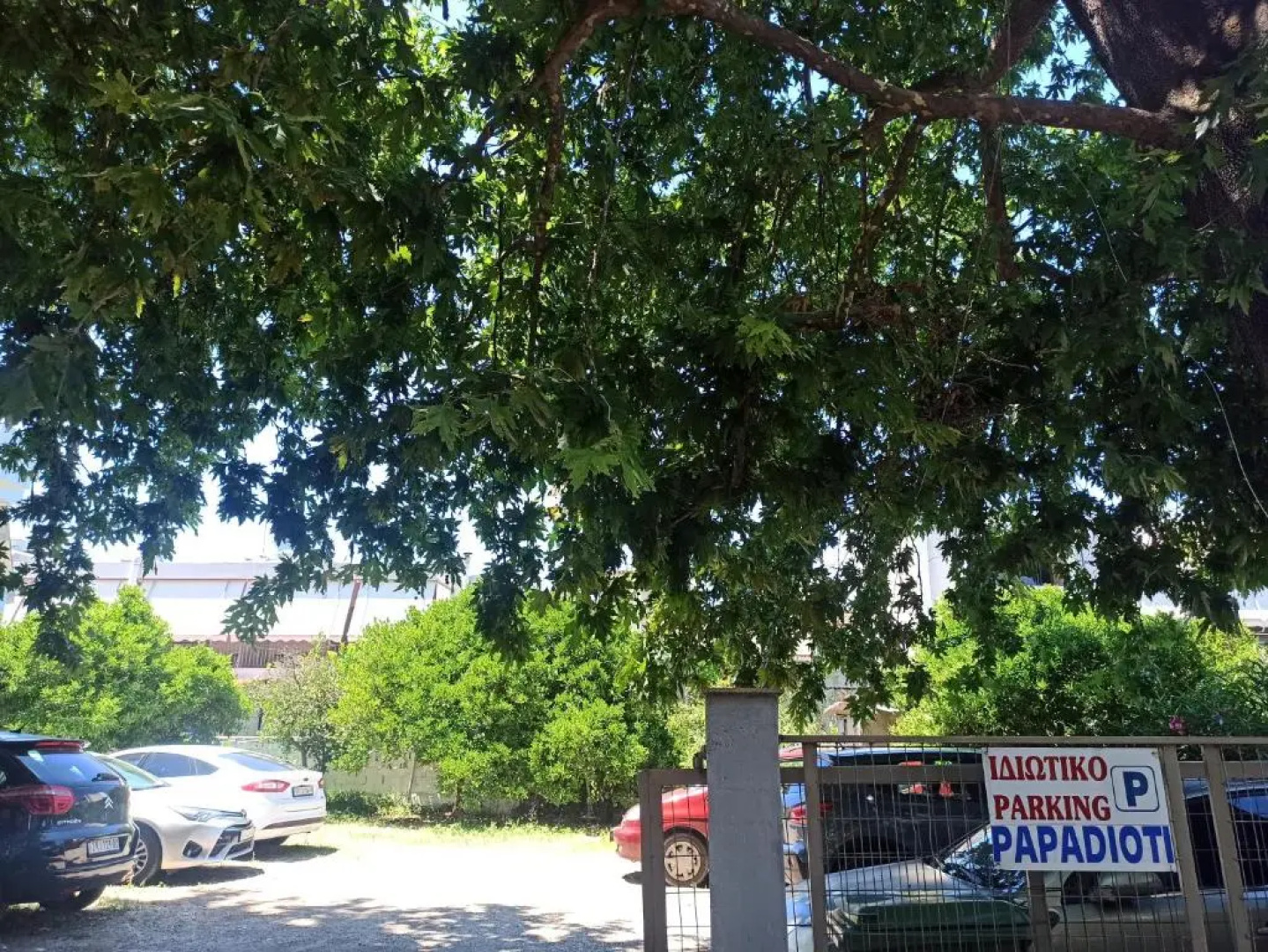 Papadioti Apartments