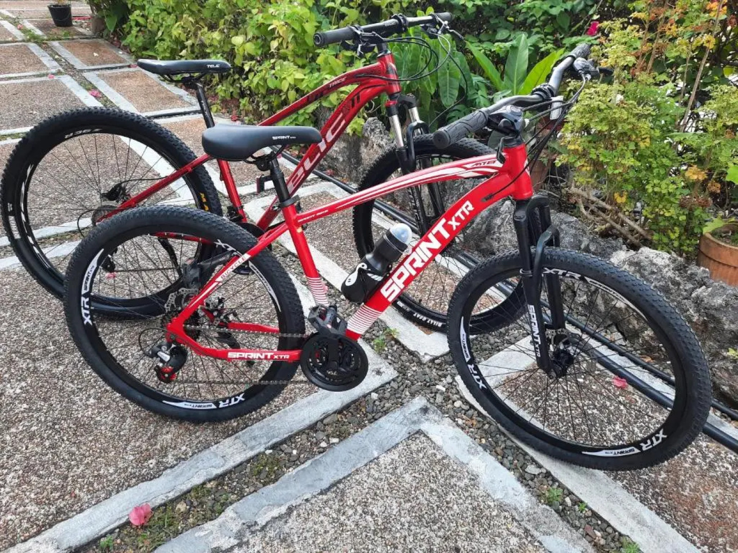 Bohol Vantage Resort