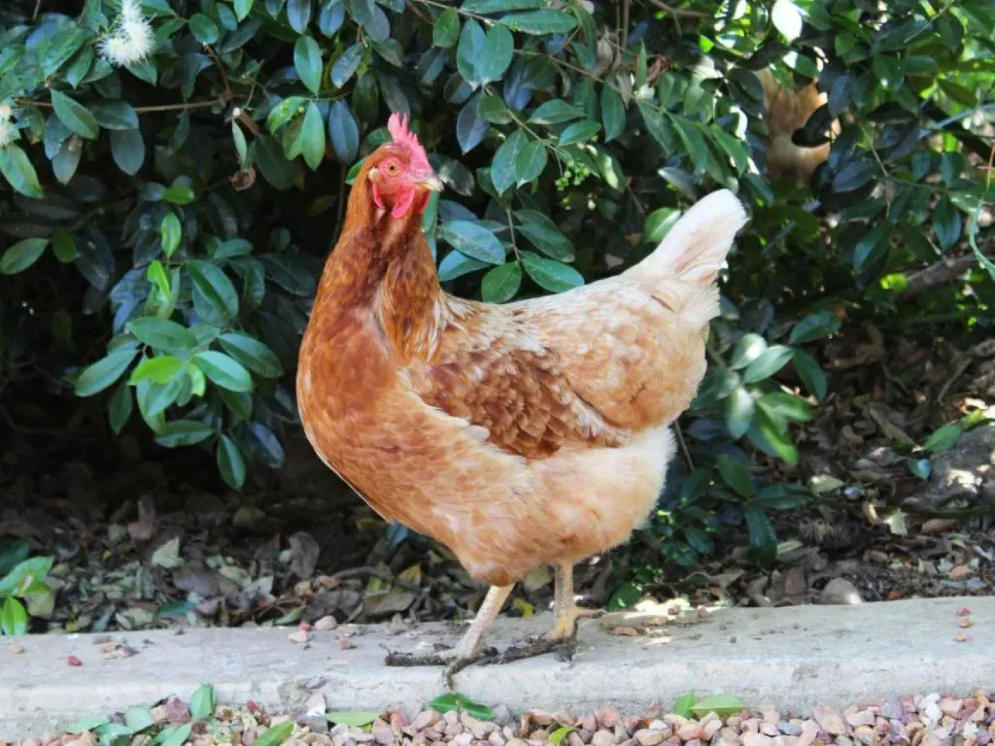 Arumvale Country House