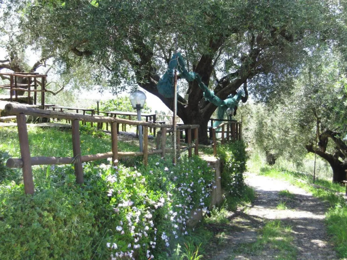 Agriturismo La Casa Vecchia