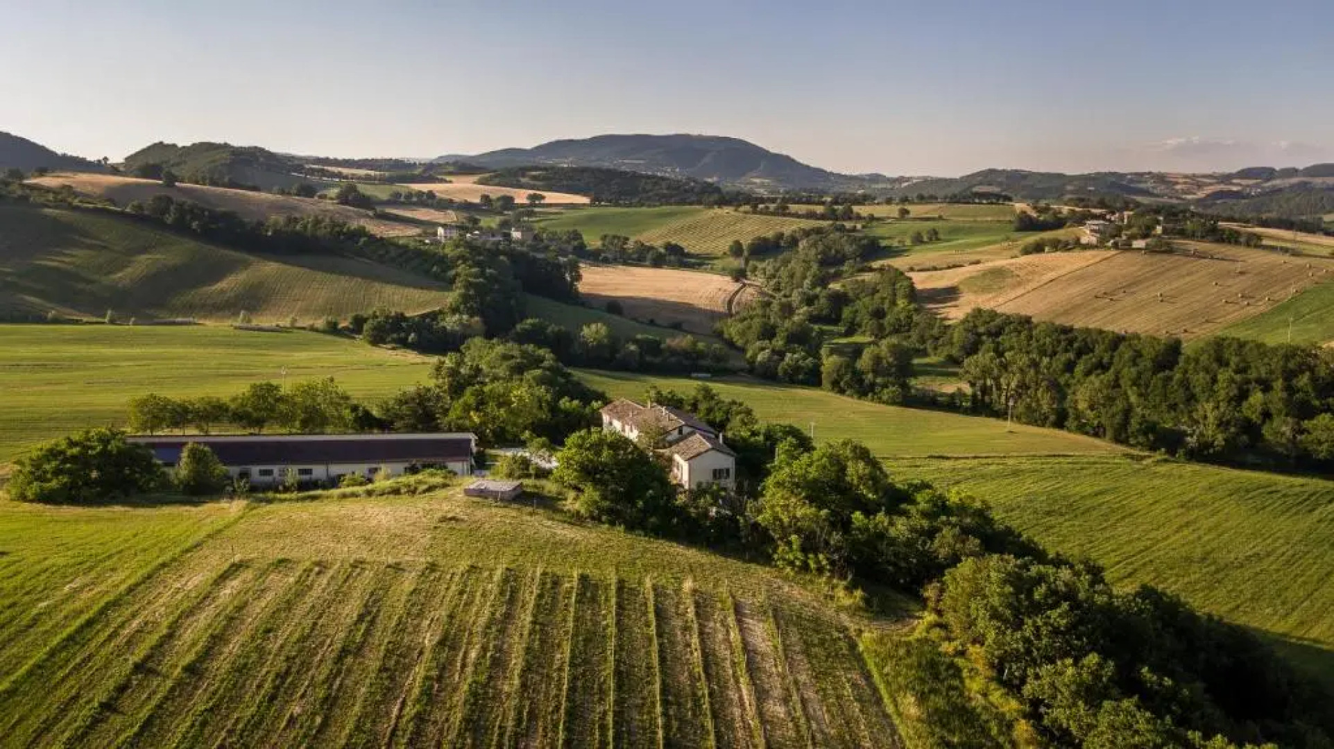 Agriturismo Podere Coldifico