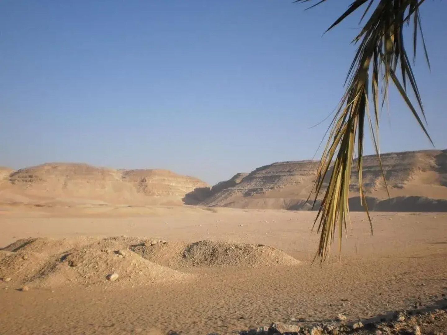 House of Life Abydos