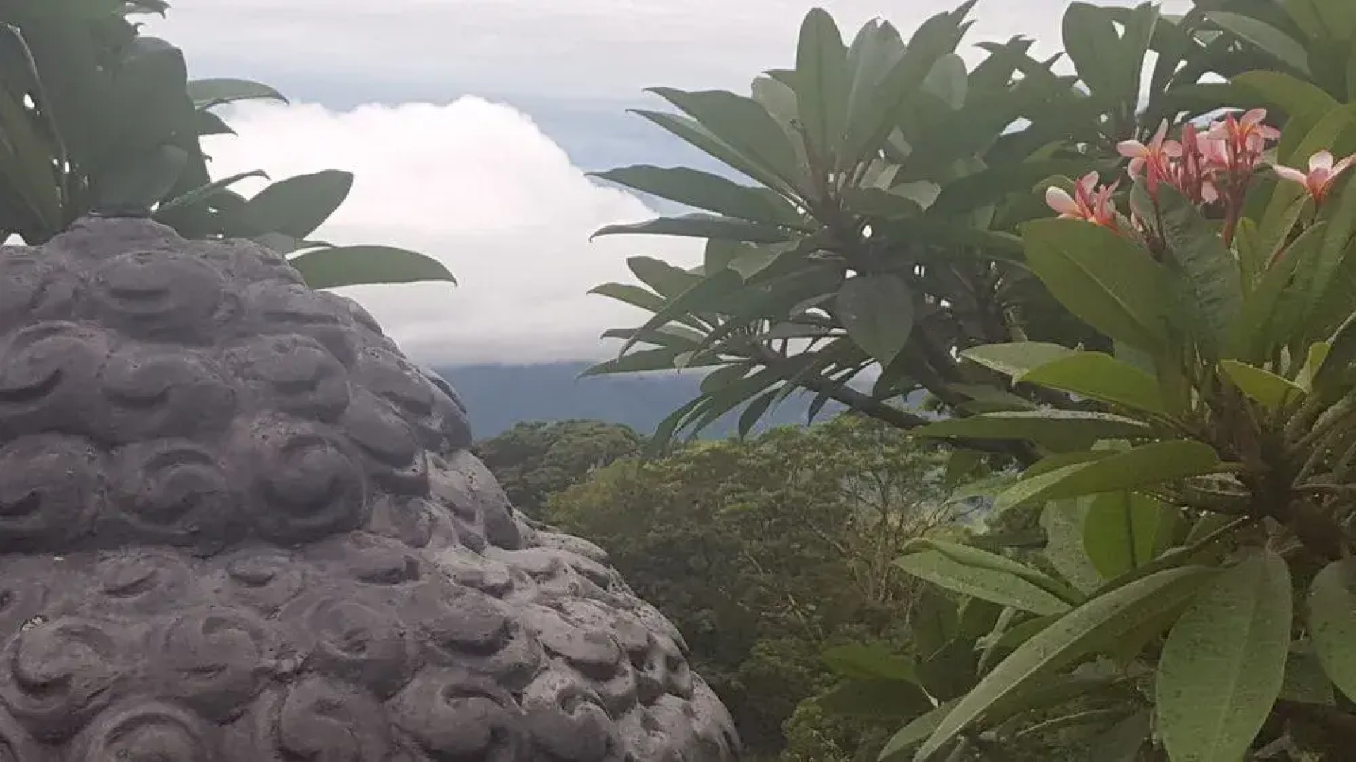 Ruah Rain Forest Retreat