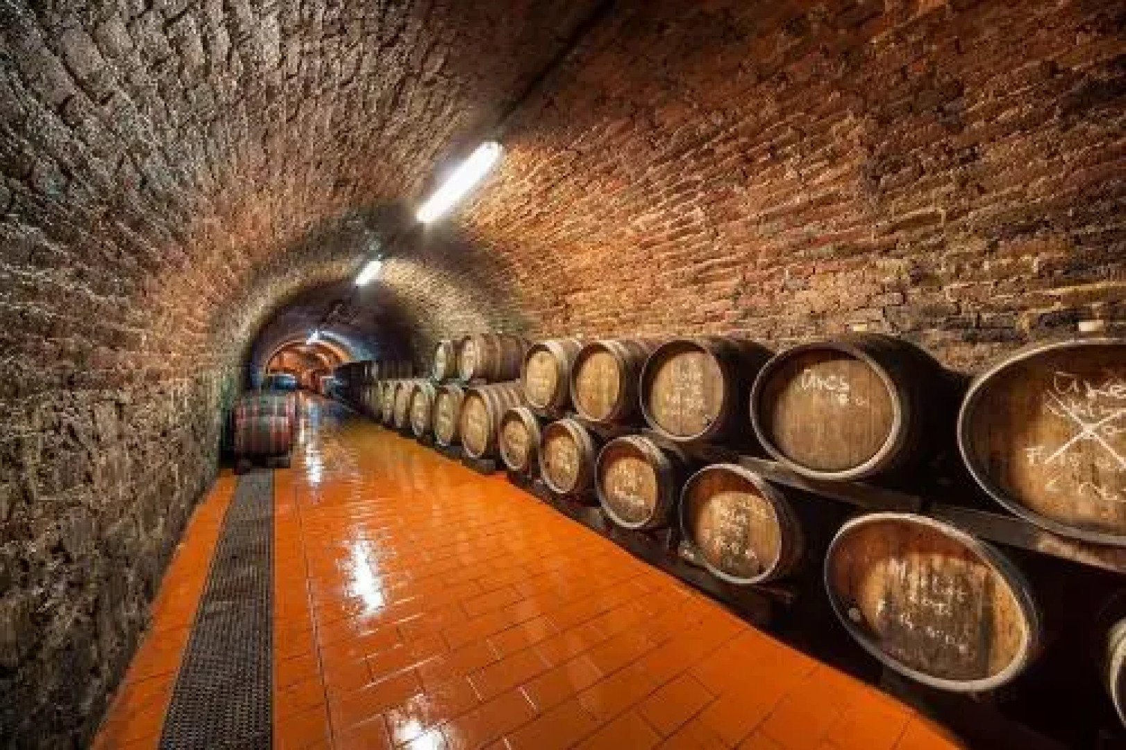 Wekler Családi Pincészet és Vendégház