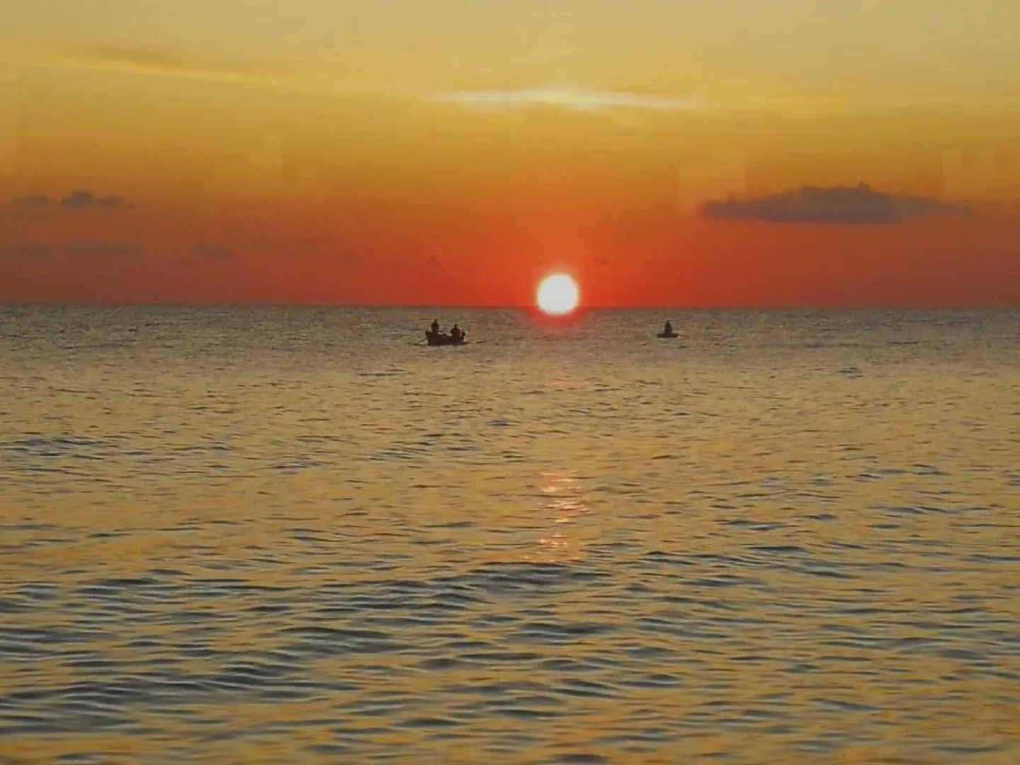 Palazzo Framarino dei Malatesta