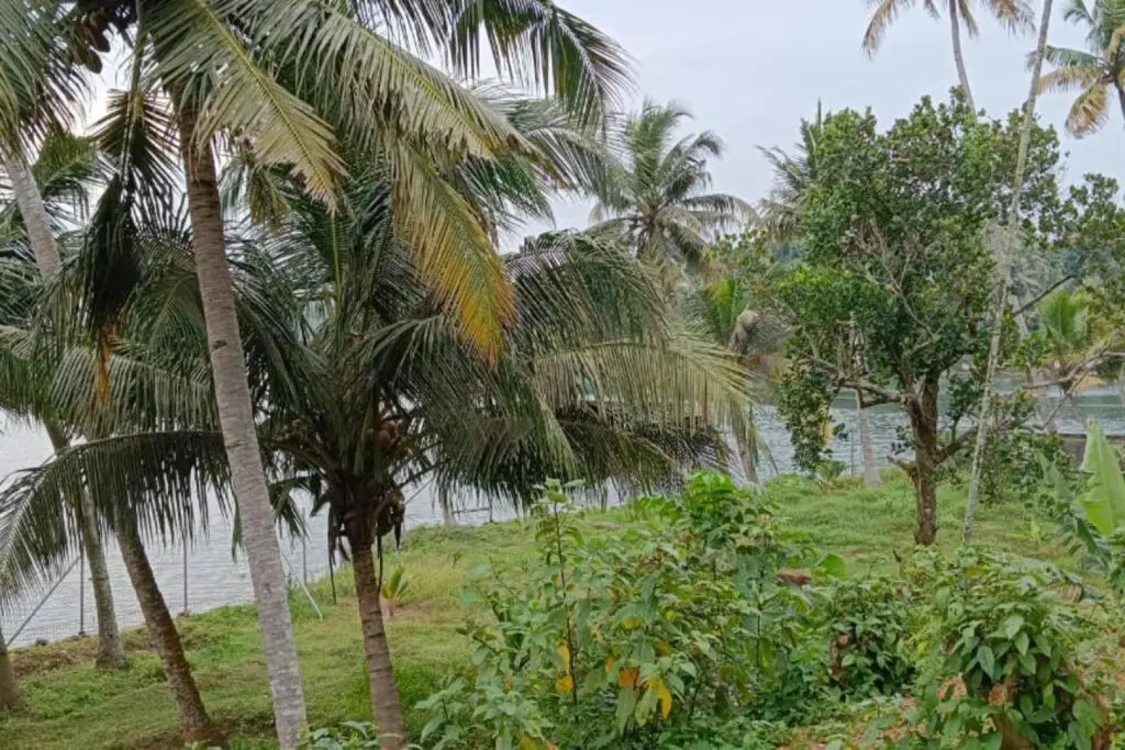 The Paro Homestay Ashtamudi