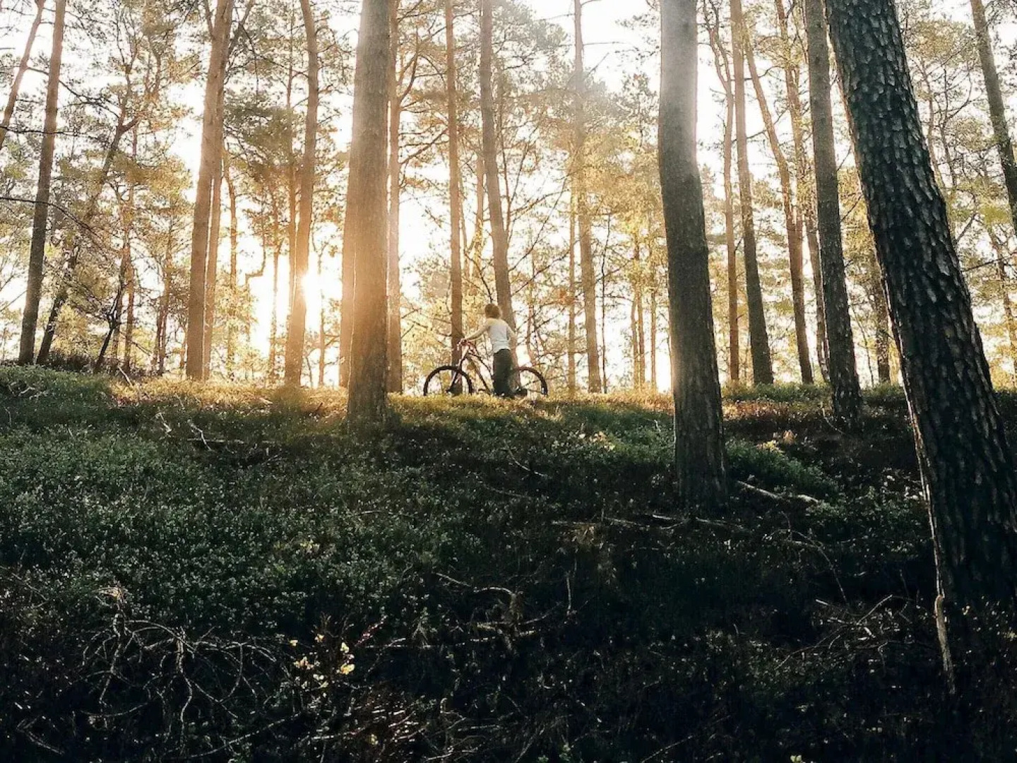 6 Person Holiday Home in Kopparberg-by Traum