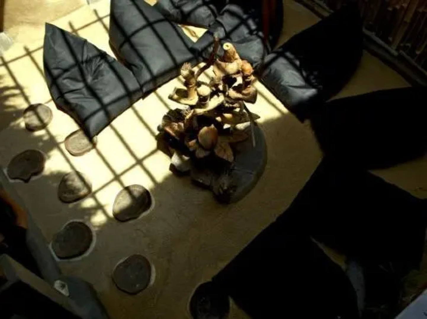 The Rabbit Tree - Hostel