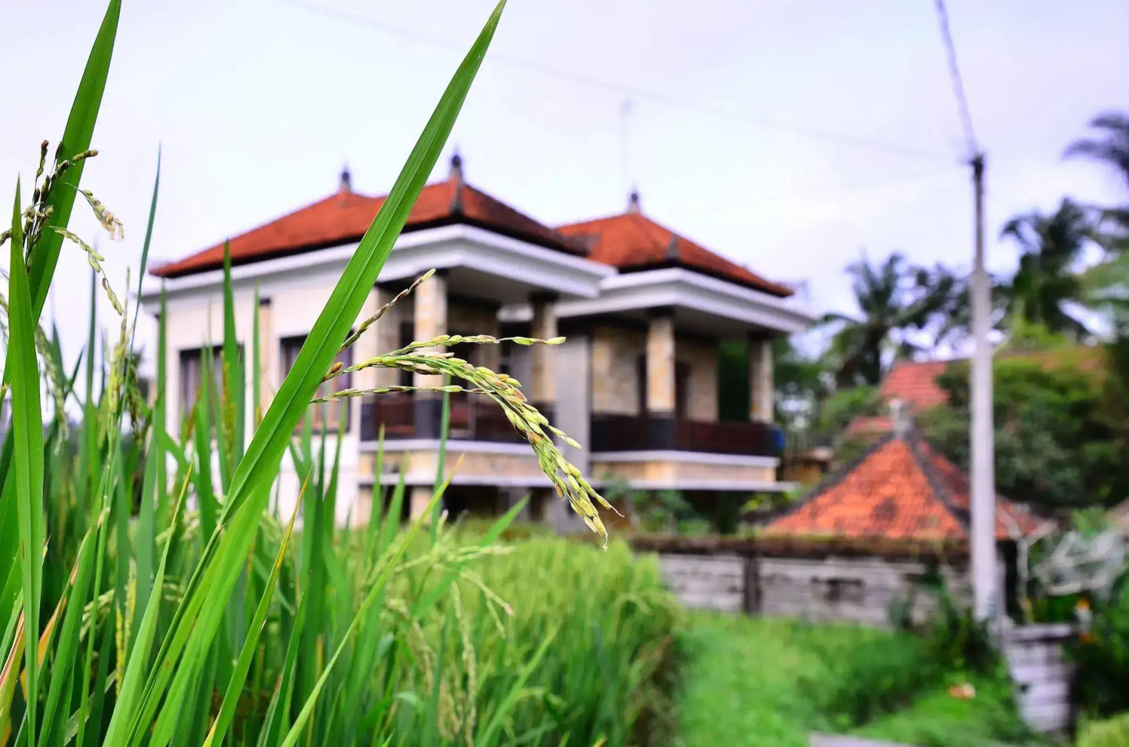 Ubud Sawah Homestay