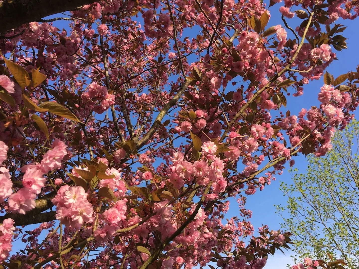 B&B Le Clos Saint-Jean - Omaha Beach