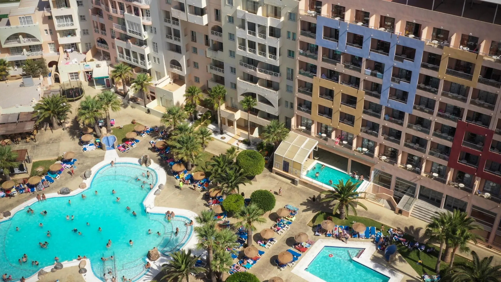 ALEGRIA Fénix Family