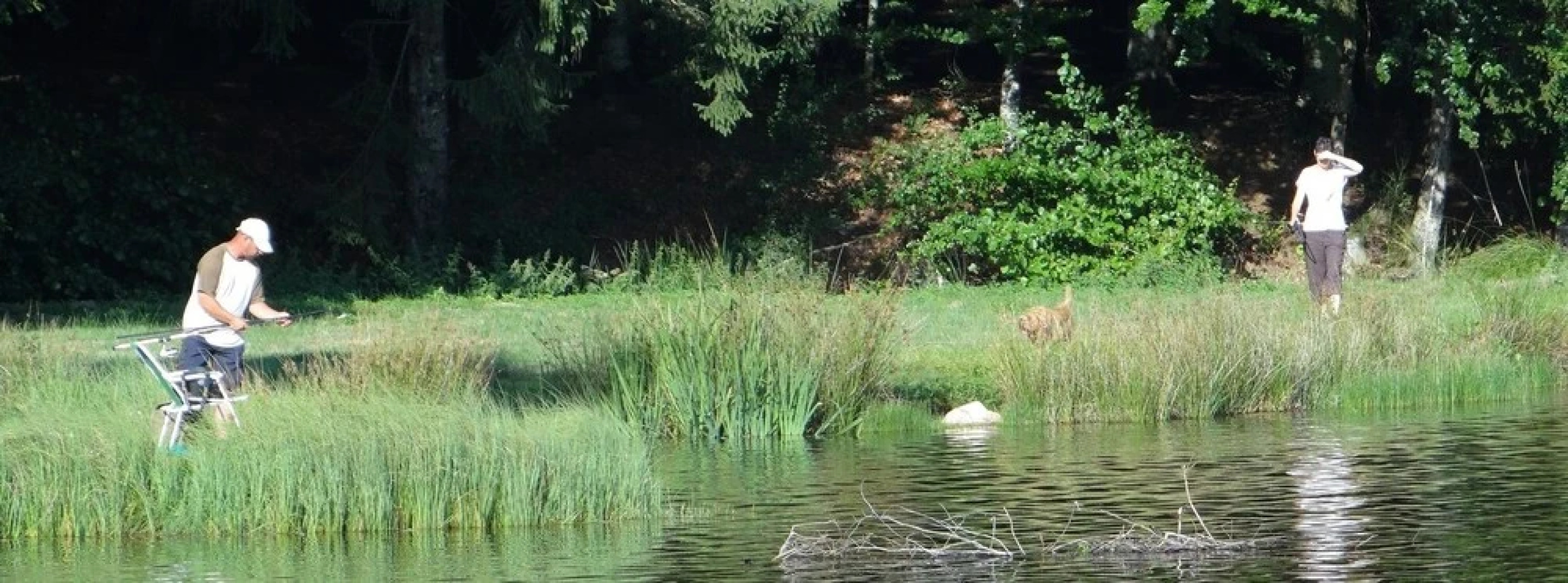 Le Logis de Sèchemailles
