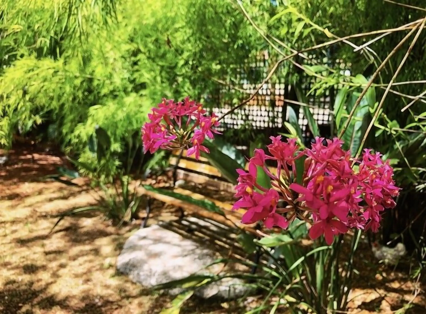 Pousada Pontal do Lago