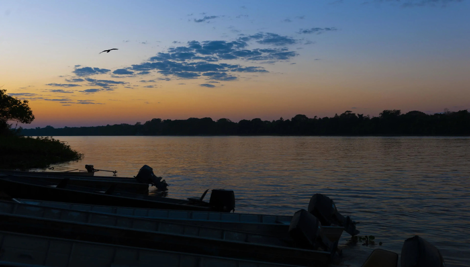 Porto Jofre Pantanal