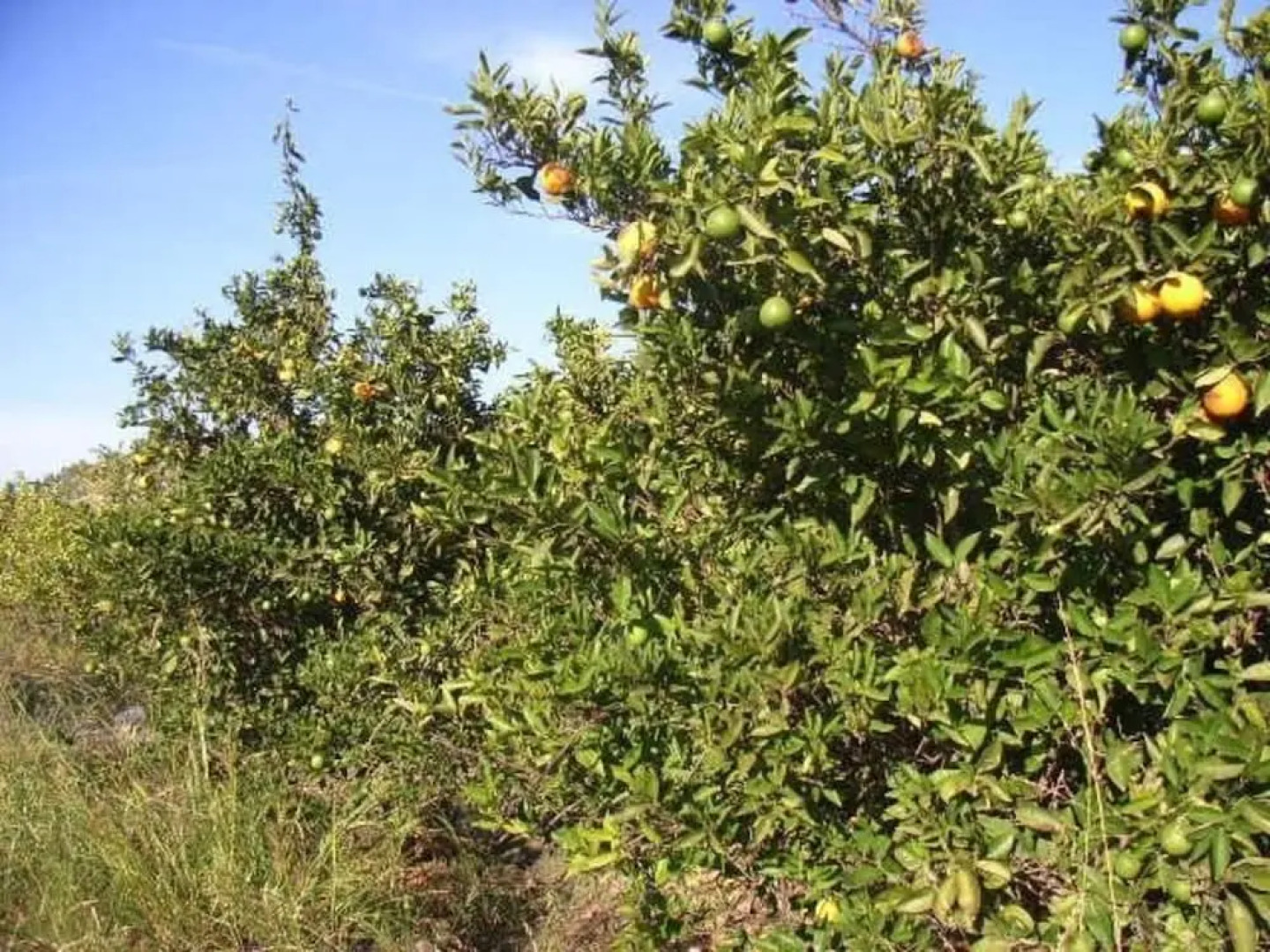 1-bed House Sleeps 4 - Free Parking, Patio, Wifi