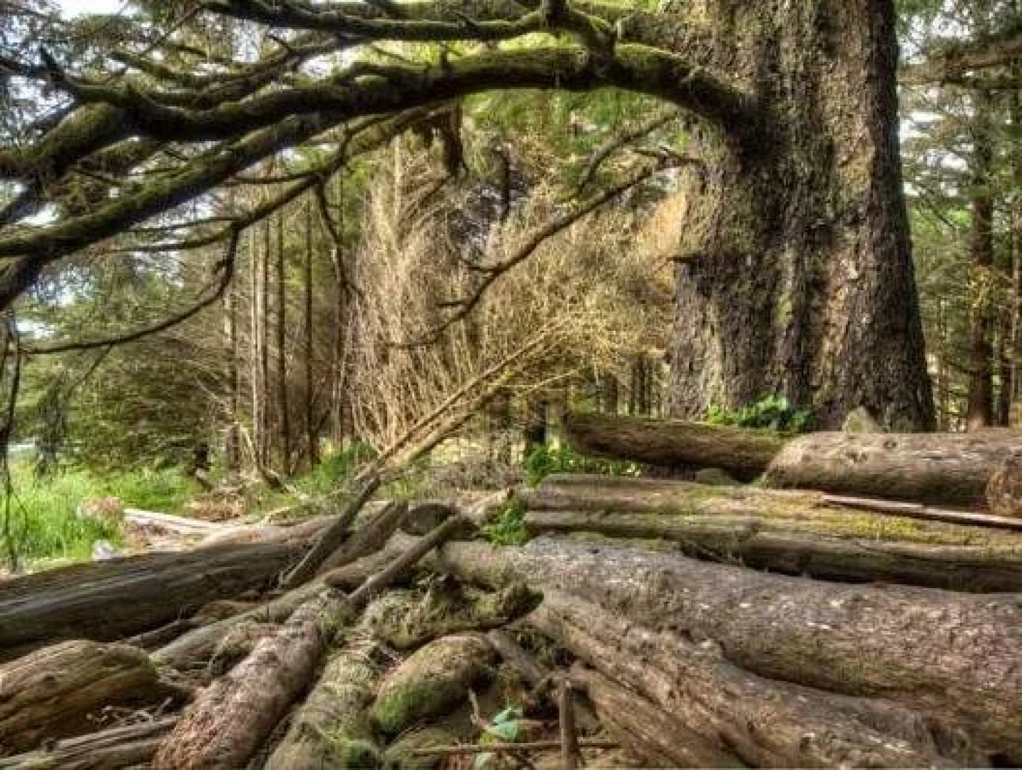 Wild Shores Guest House