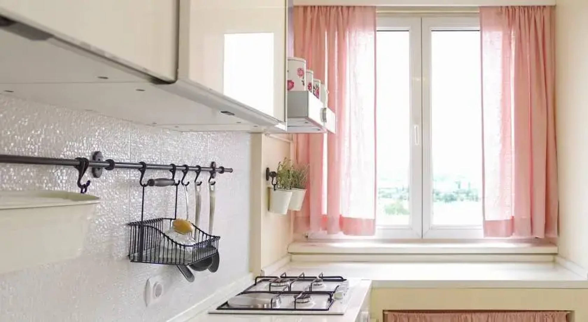 Apartment Rosa Gallica