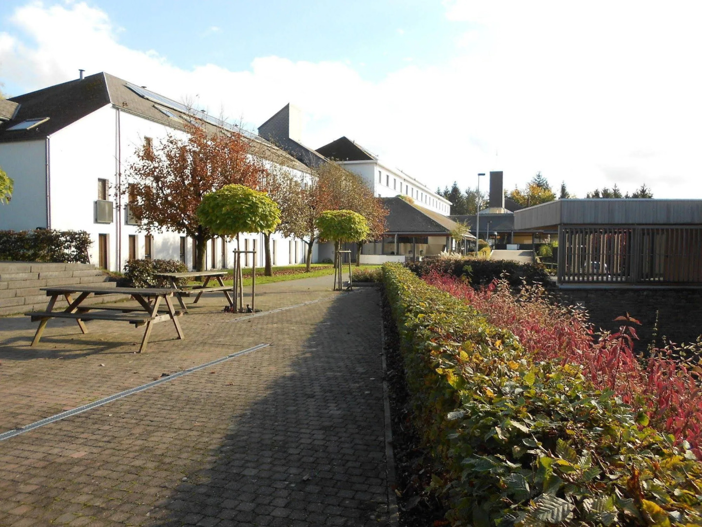 Corsendonk Sol Cress