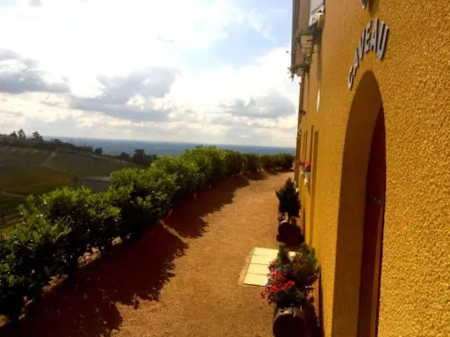 Domaine du Coteau Des Lys