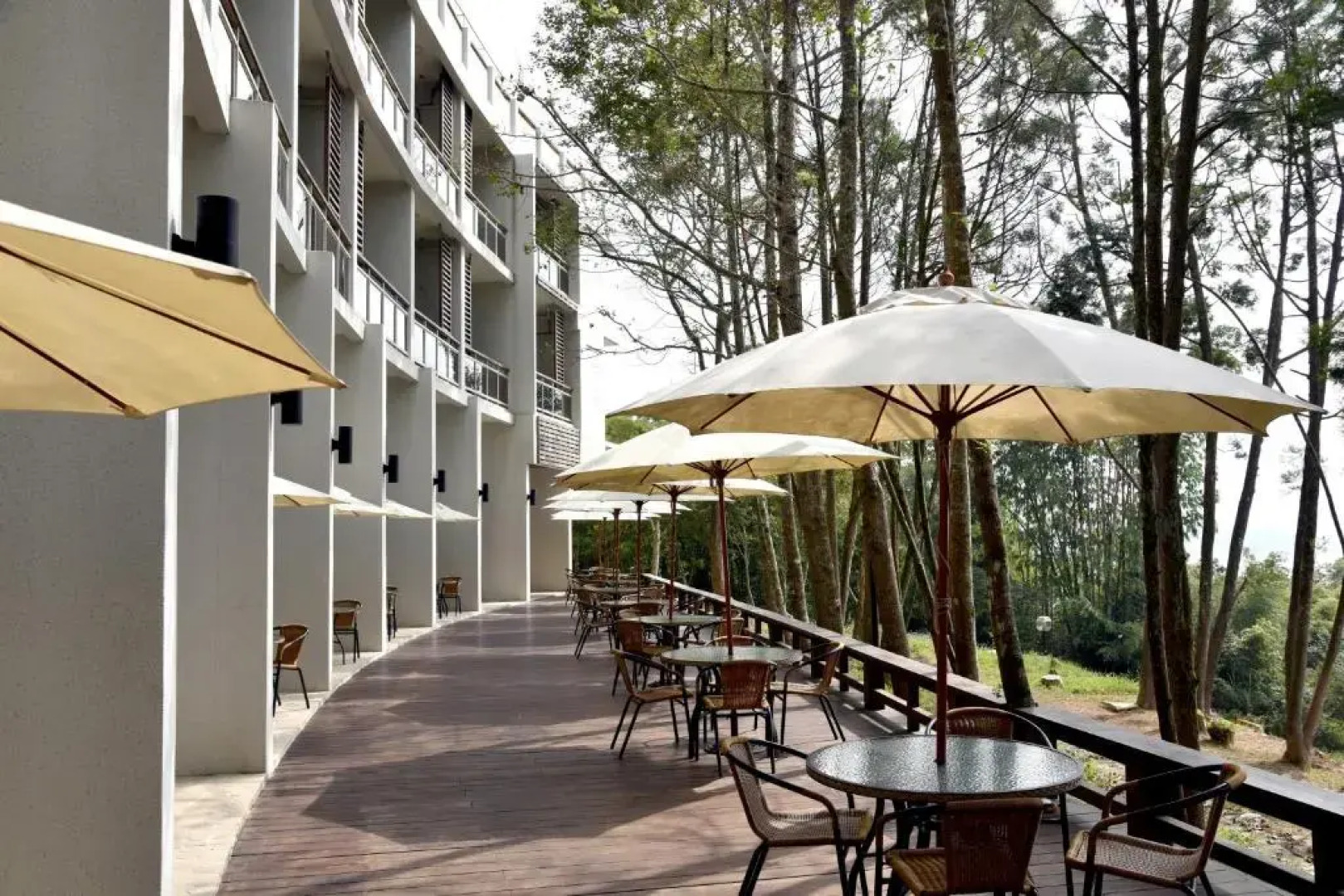 Sun Moon Lake Bamboorock Garden