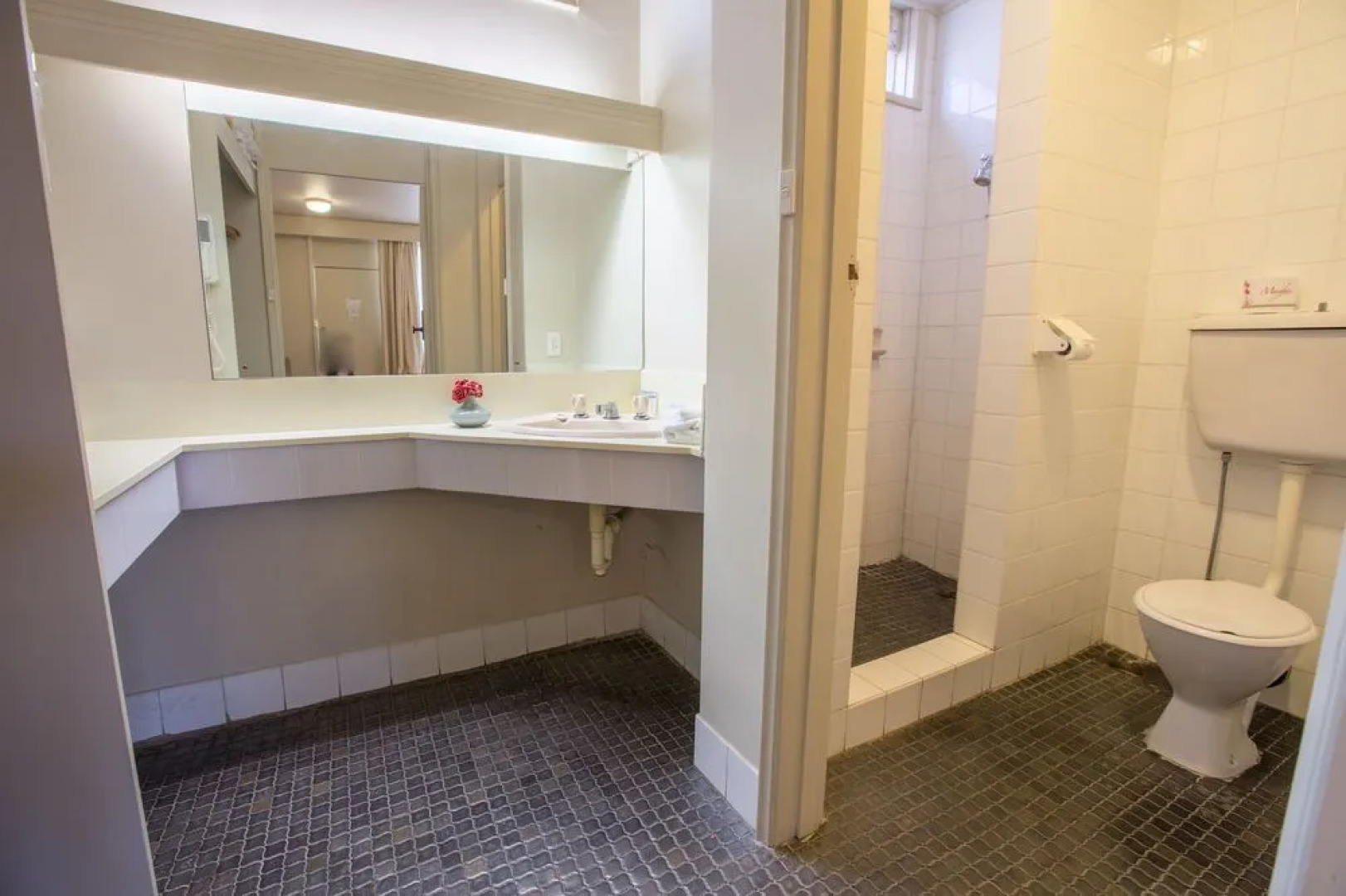 Econo Lodge Hacienda International