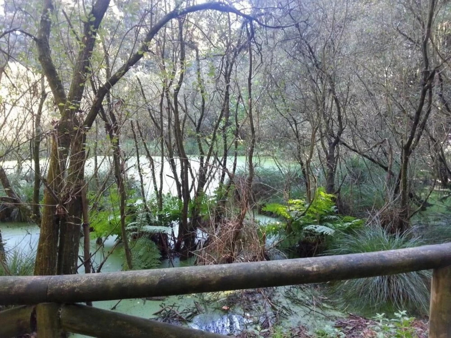 Hotel La Casa del Abuelo