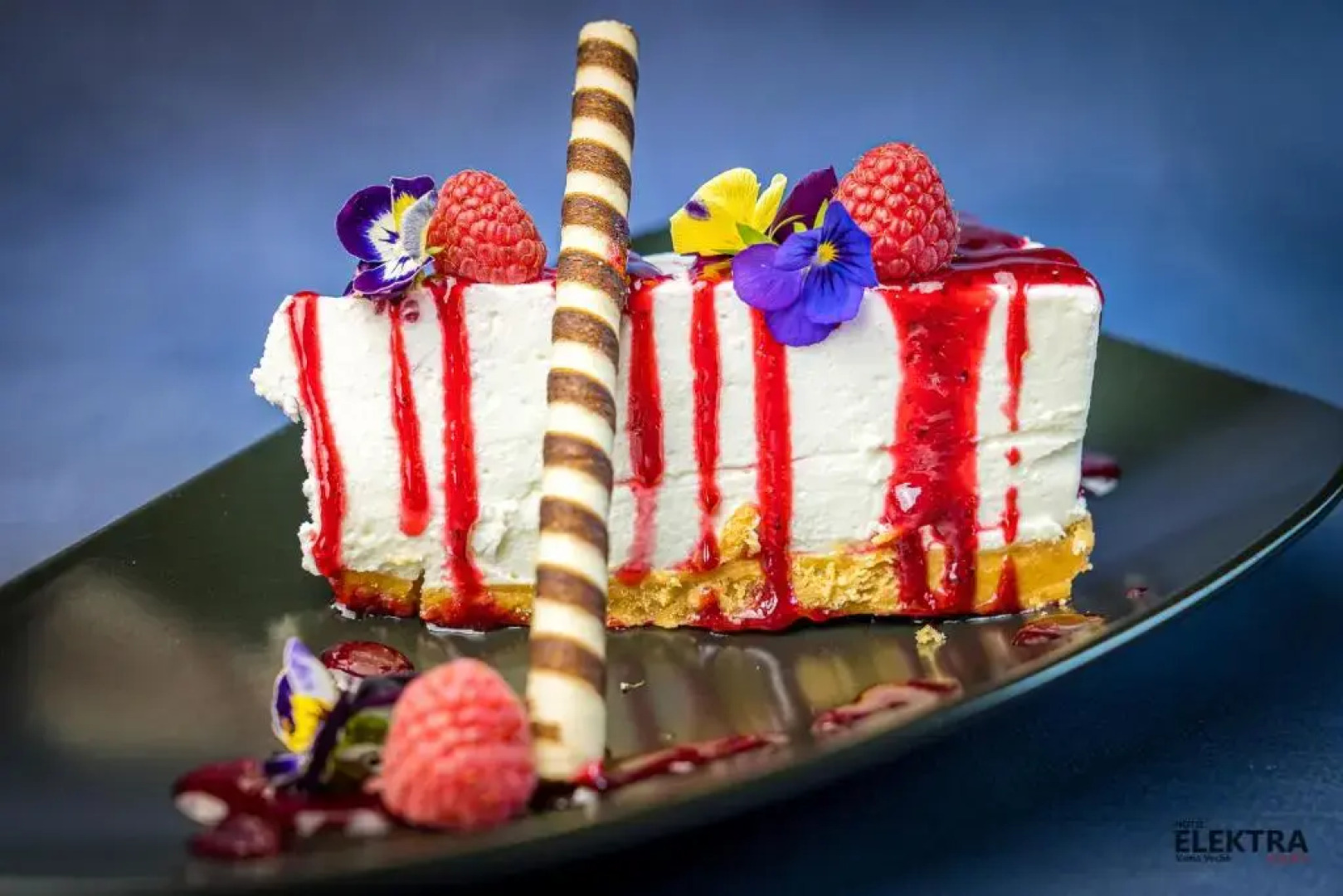 Vilele Marii Vama Veche