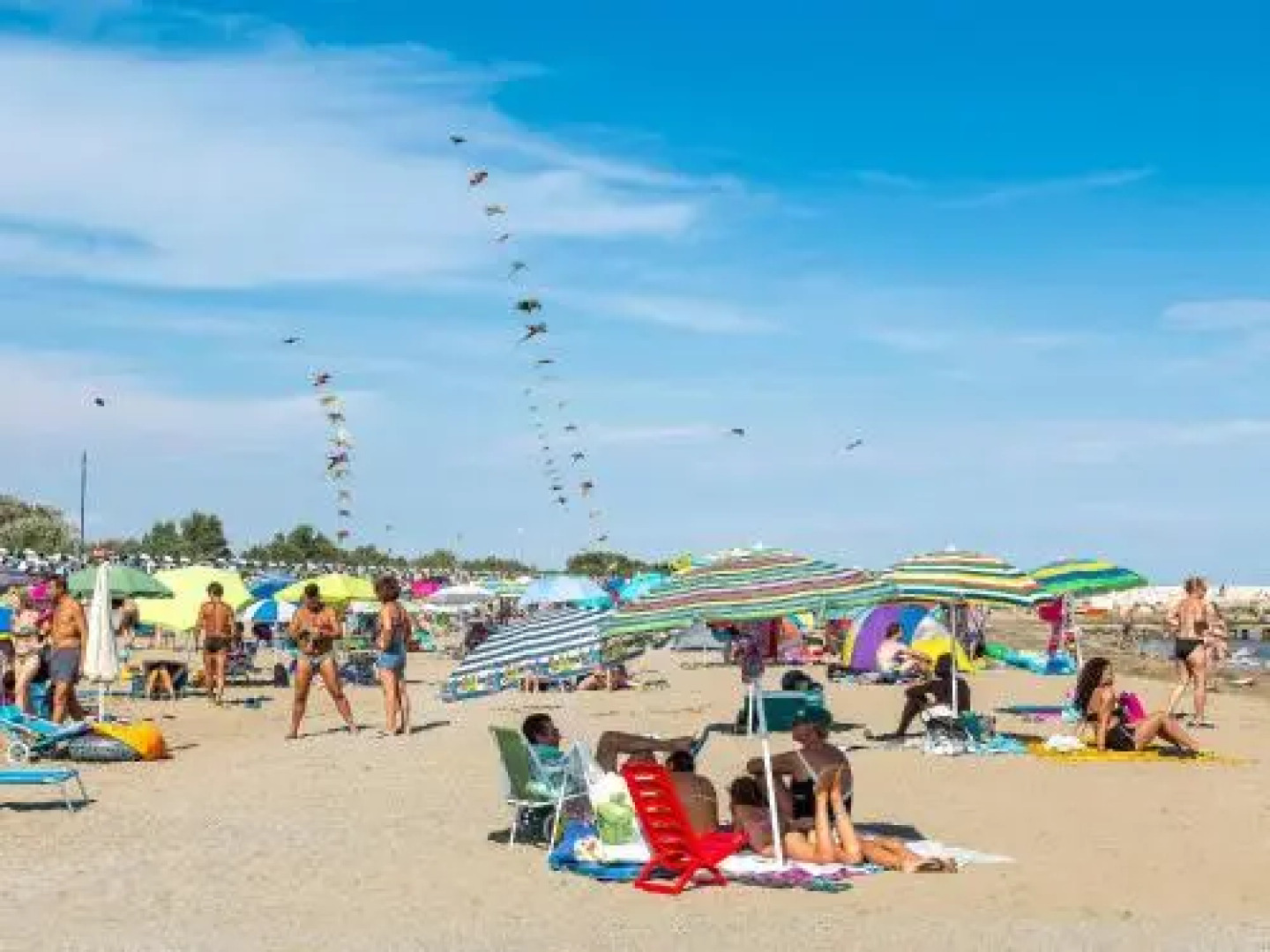 Villaggio Ai Salici 405S