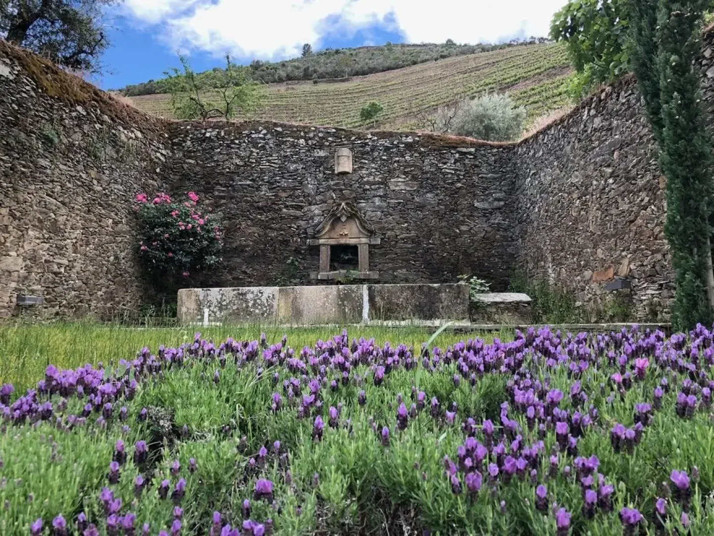 Quinta da Gricha