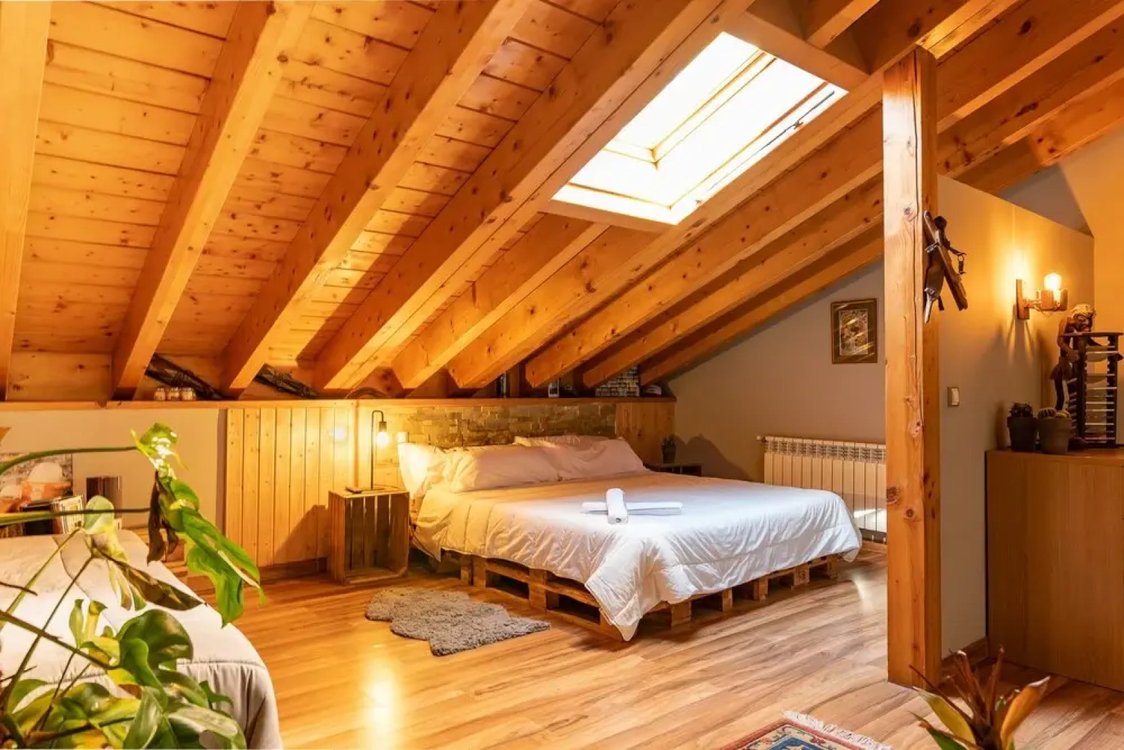 Fidalsa Living the Dream