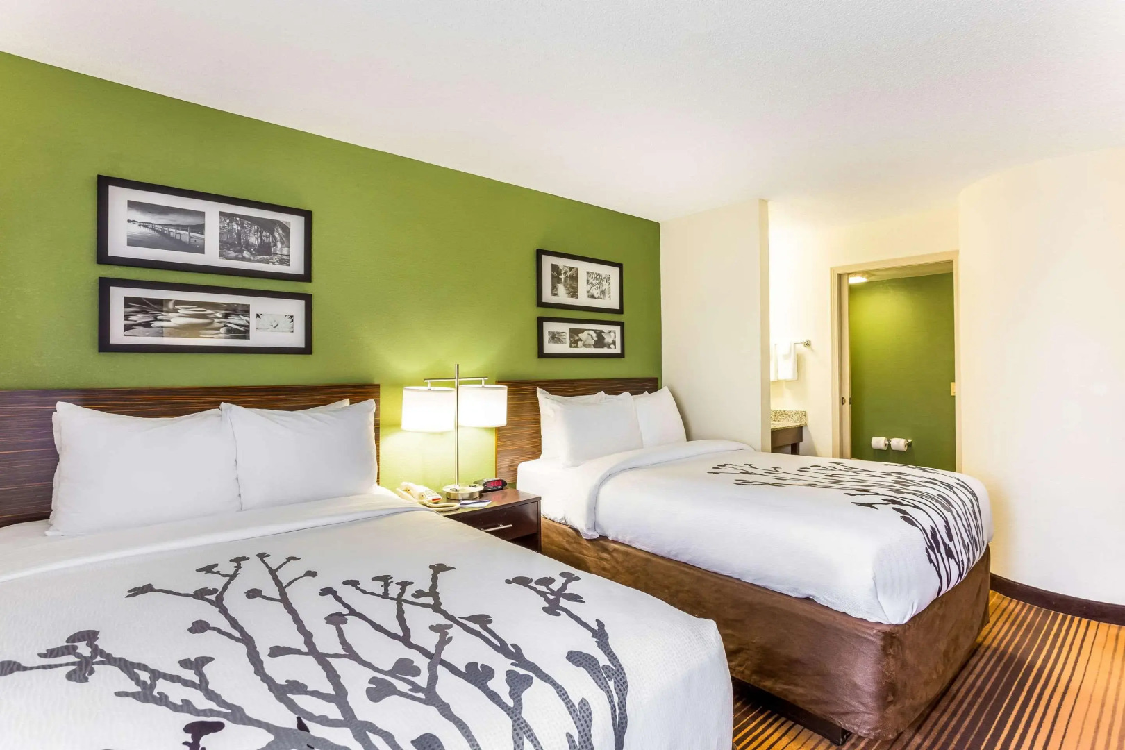 Sleep Inn & Suites Kingsport TriCities Airport