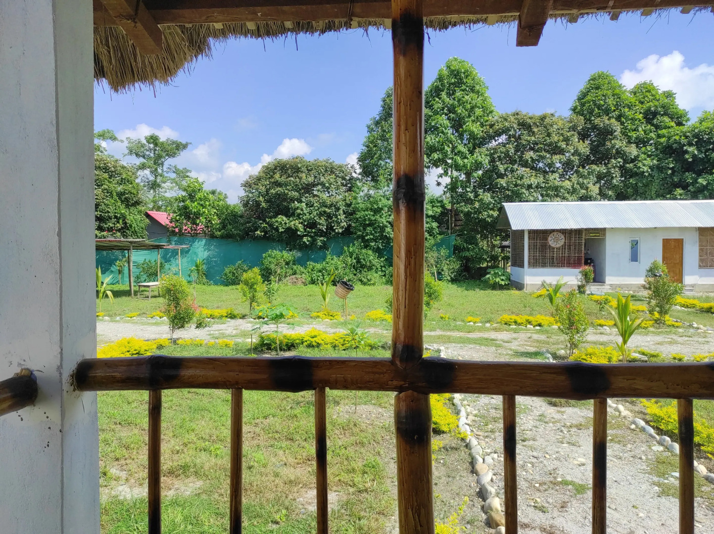 Homocation Falcon Jungle Resort