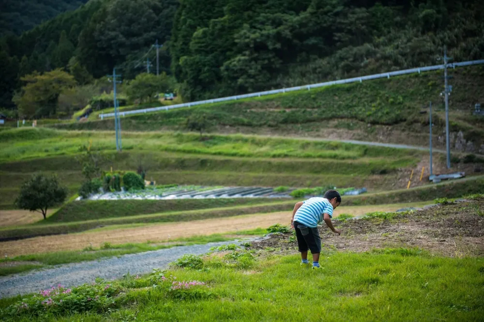 Setouchi Cominca Stays Hiroshima FROSEN