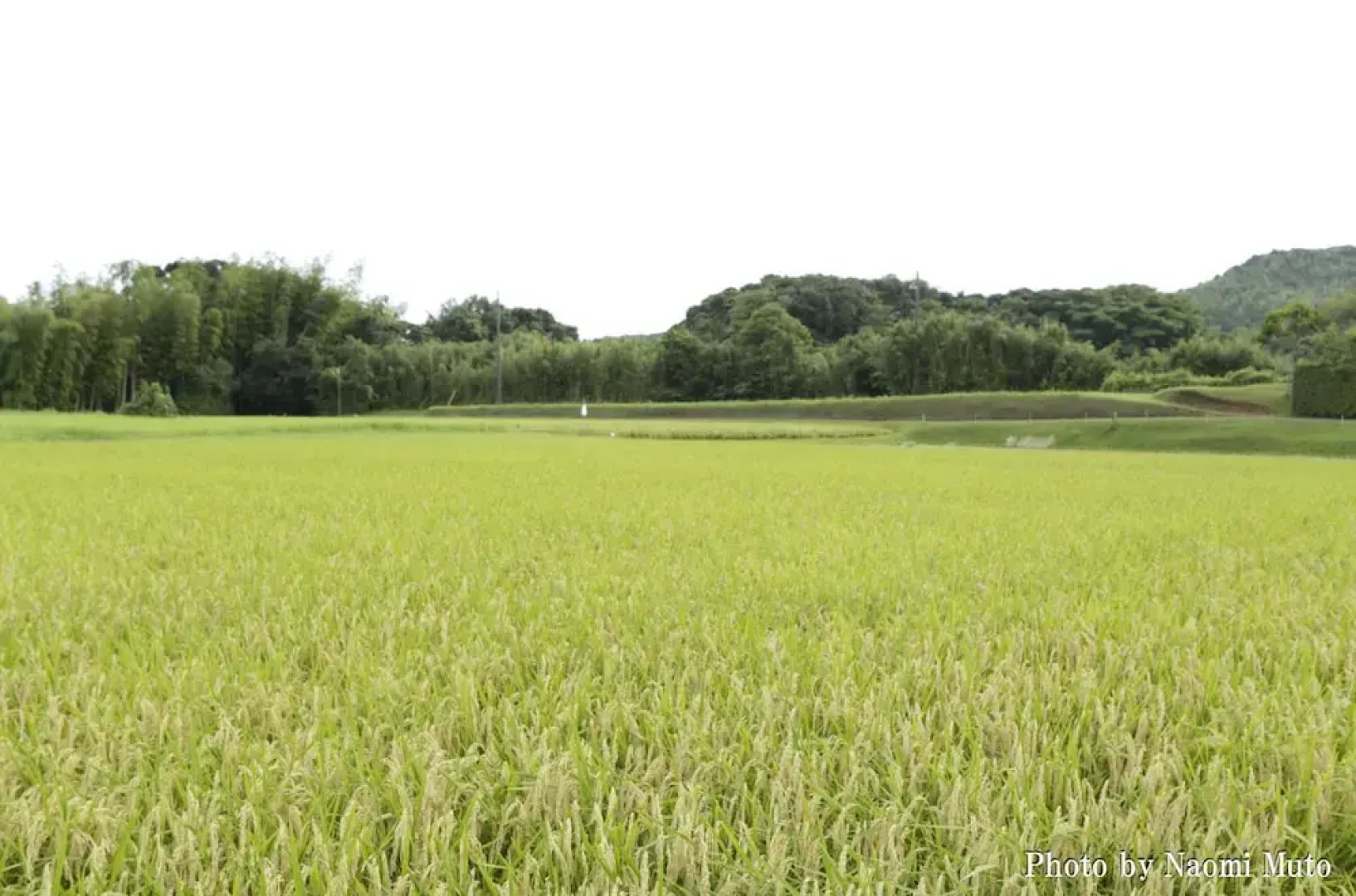 Sato No Hakoniwa Lodge 365