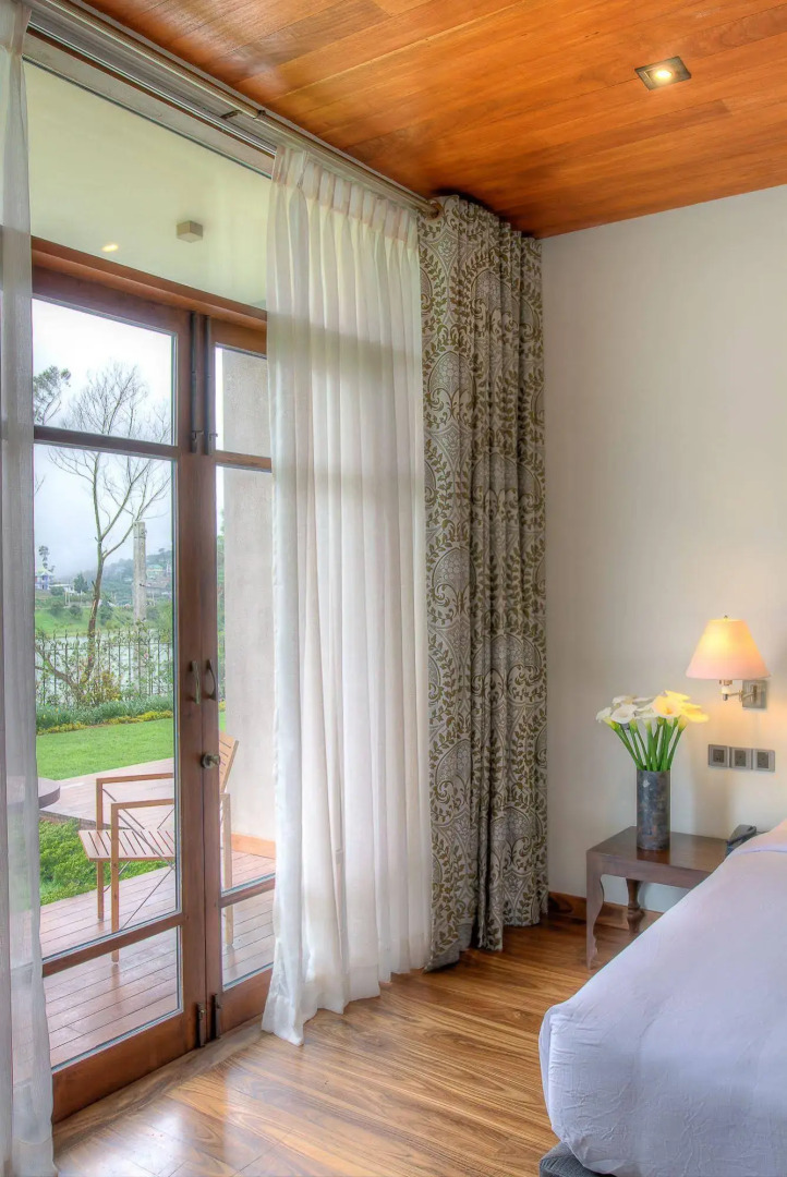 Tea Plant Nuwara Eliya