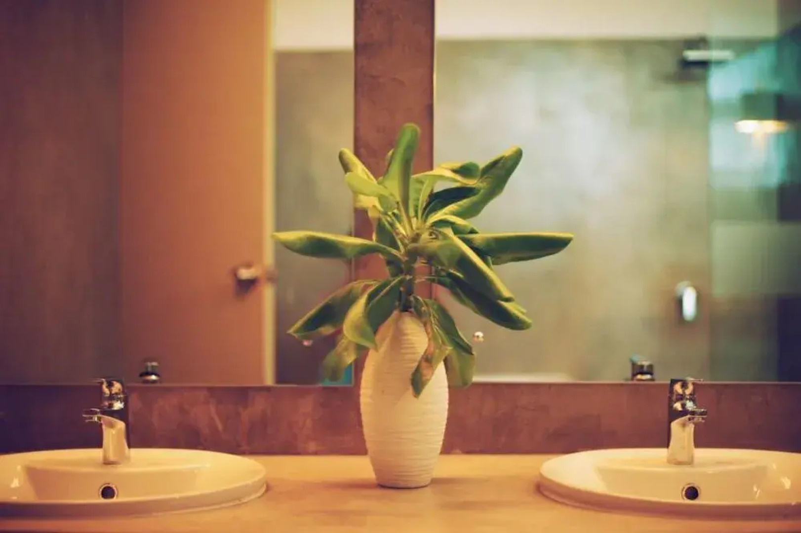 Ranna beach villa by FOX Resorts