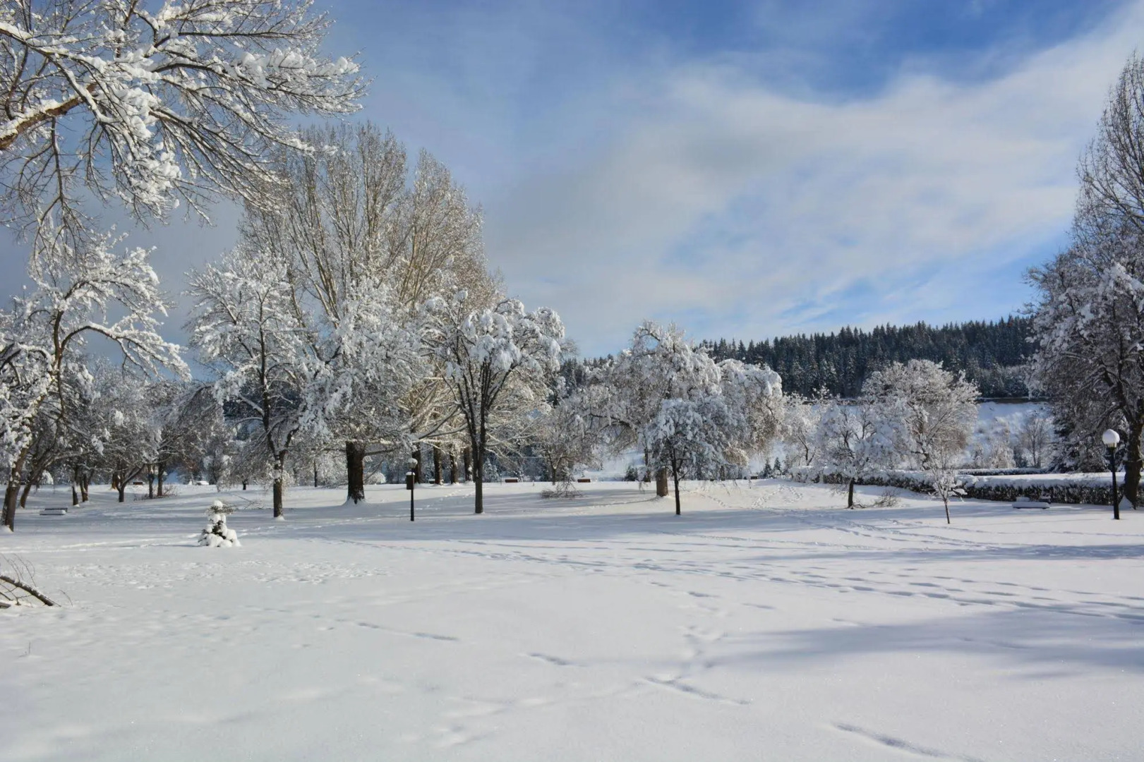 Queensway Court Motel