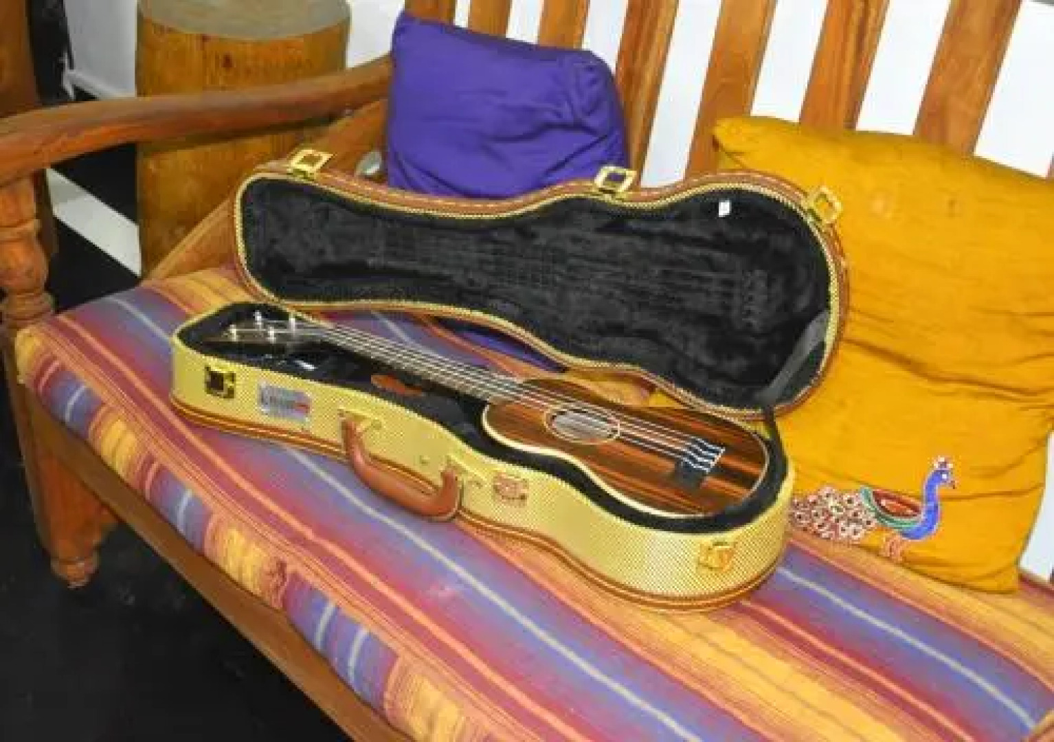 Fig and Gecko Hostel