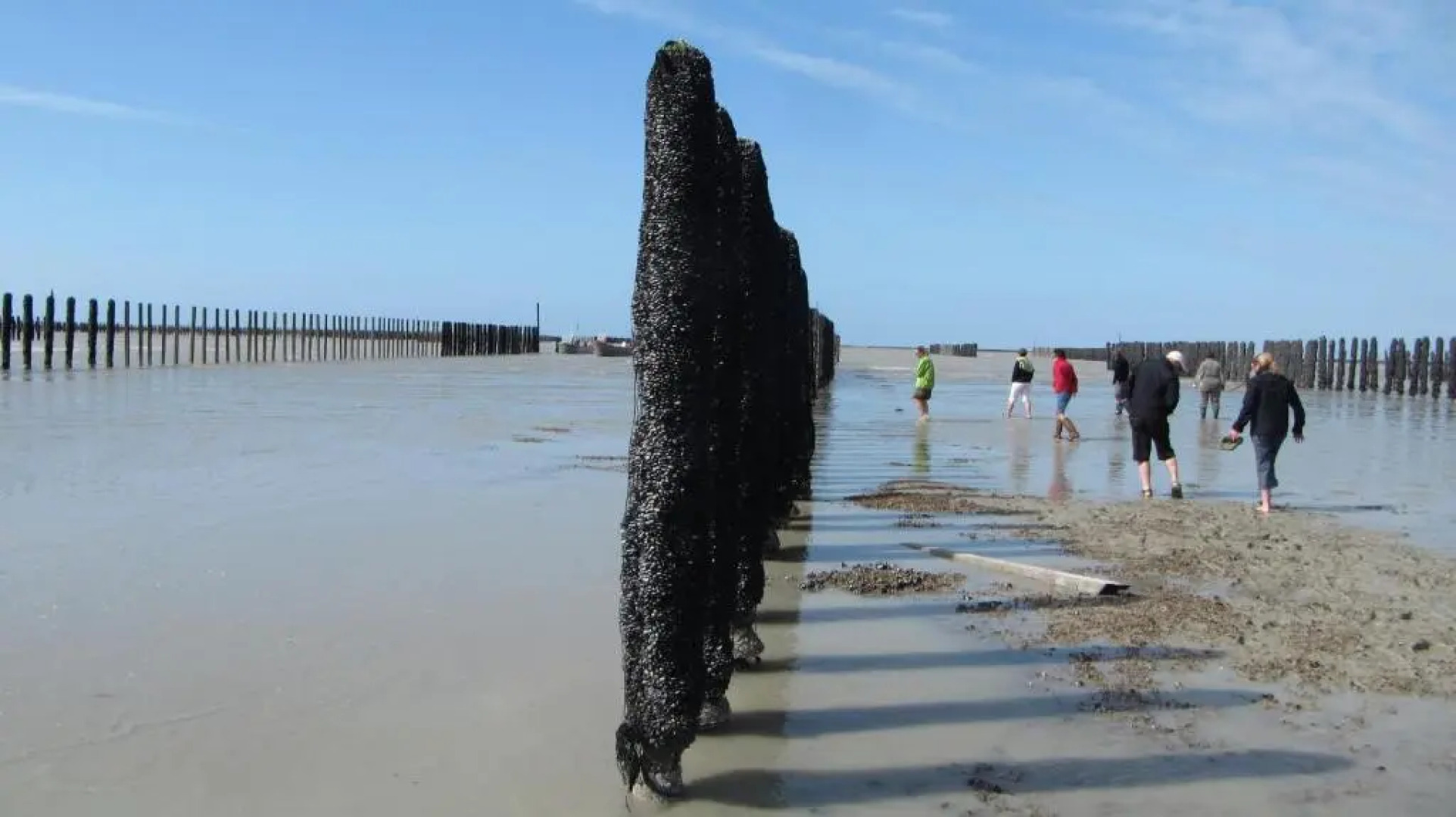 Best Western Armor Park Dinan