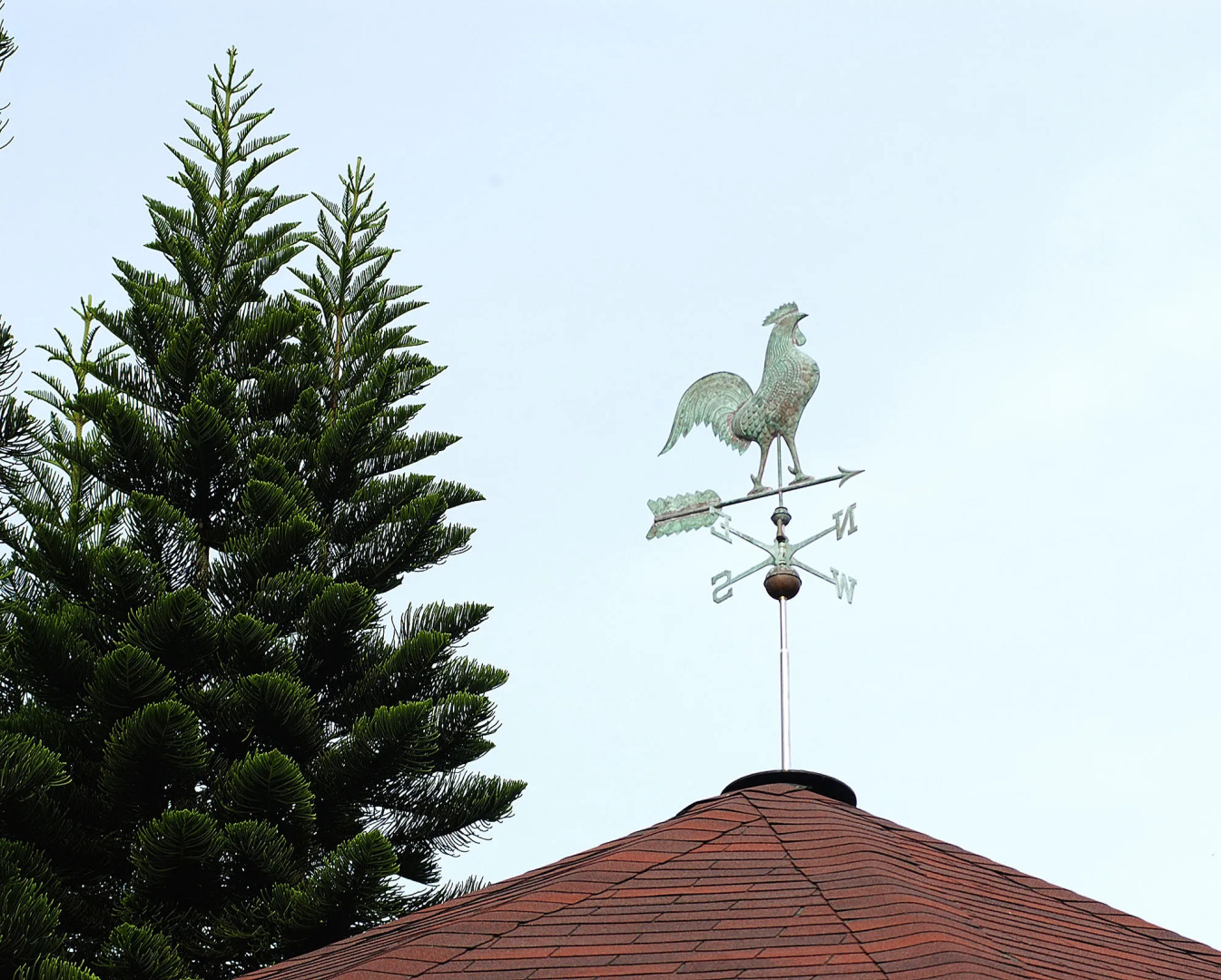 Century Pines Resort