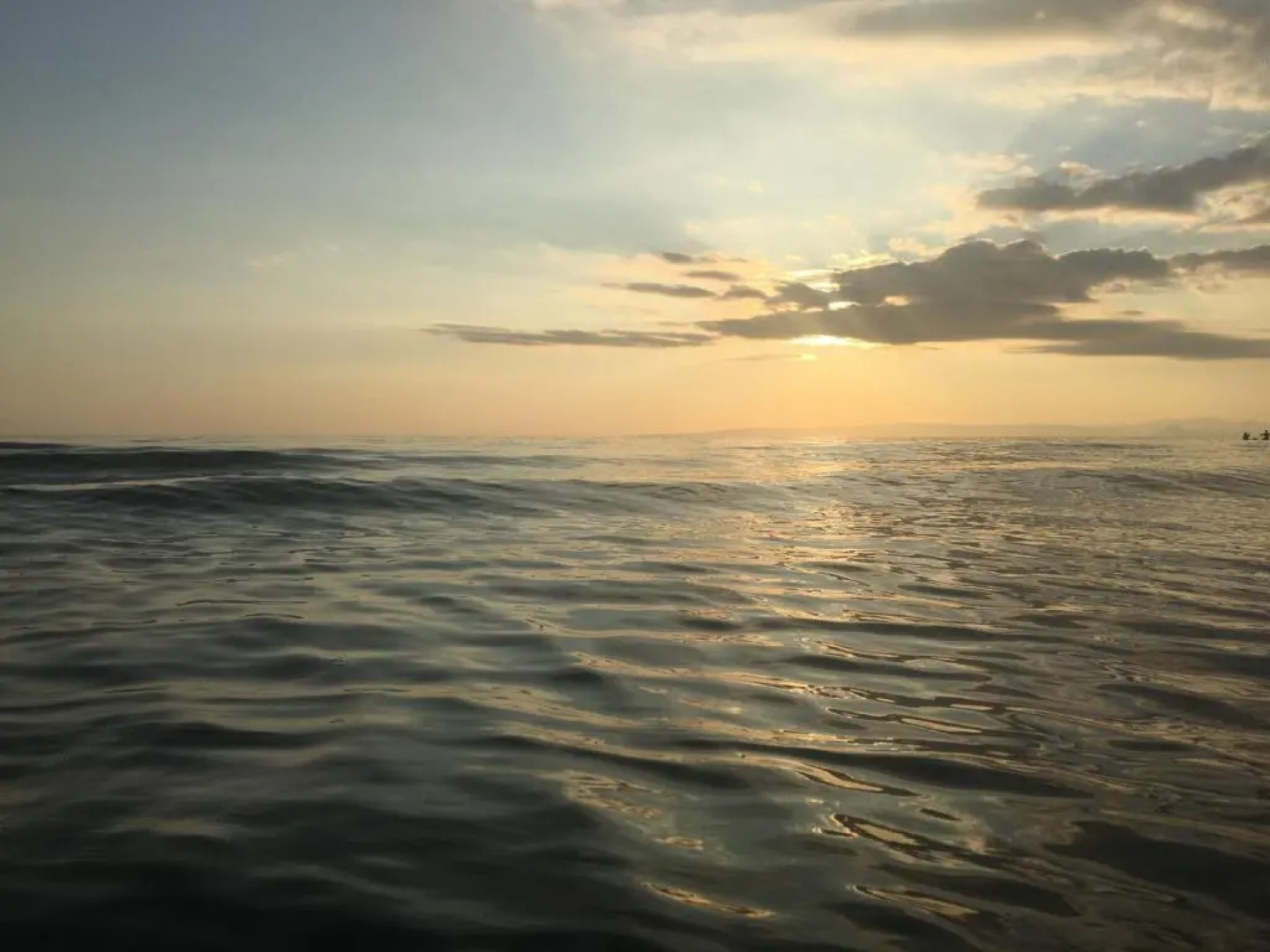 Grand top floor apartment in the Royal Bank House