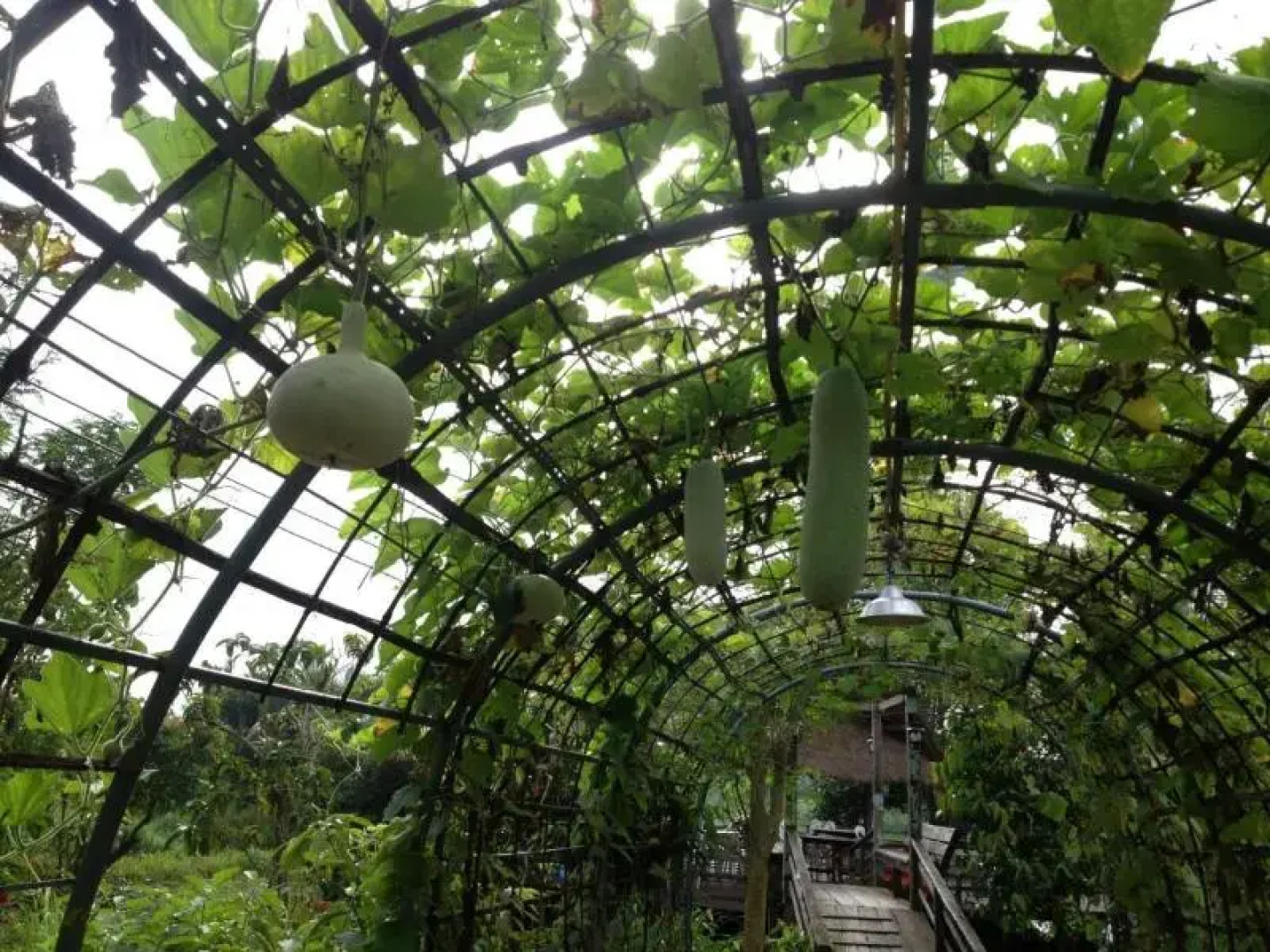 Be Fine Sabuy Hotel and Resort by ZUZU