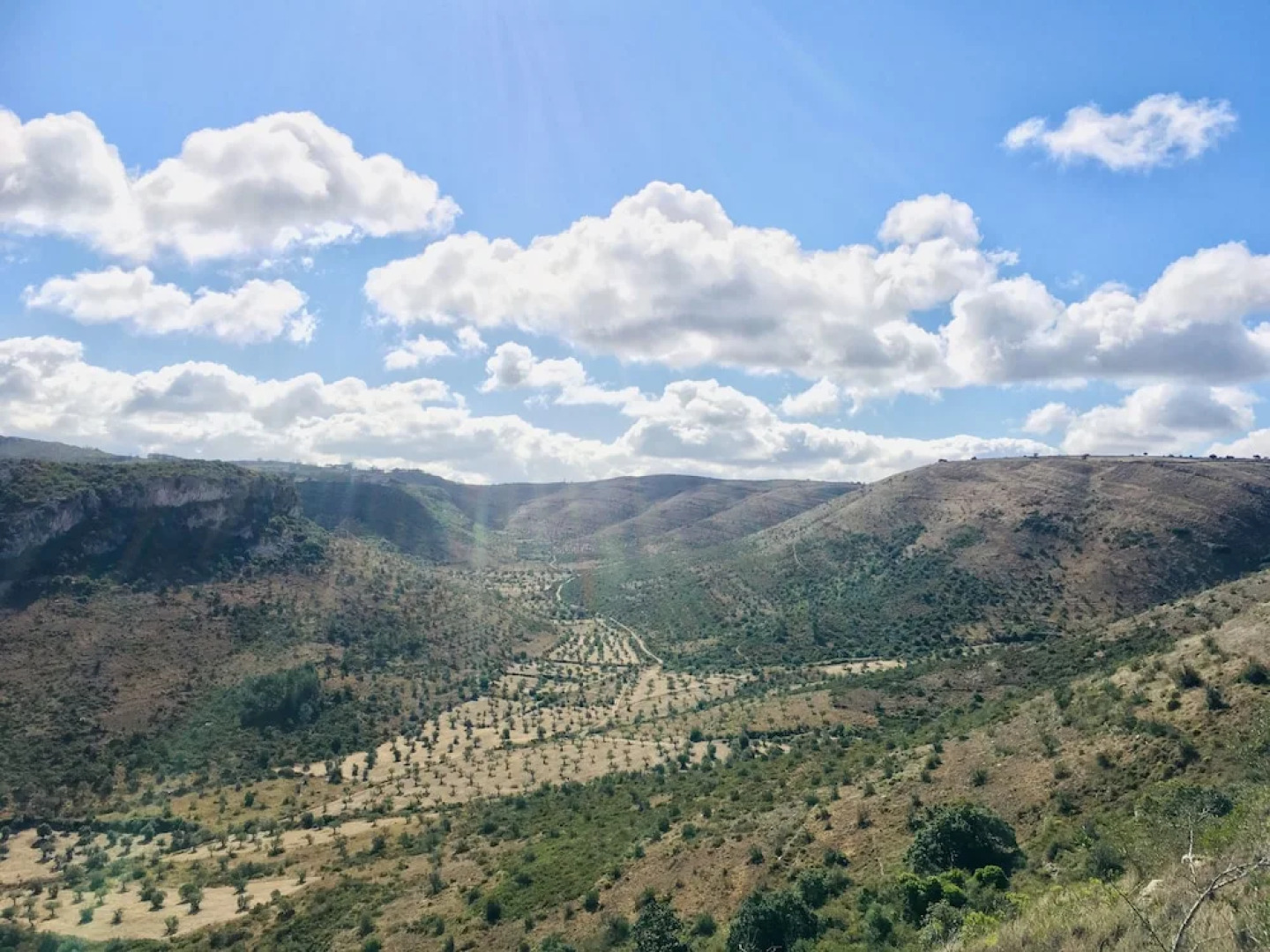 The Nest By Cooking and Nature