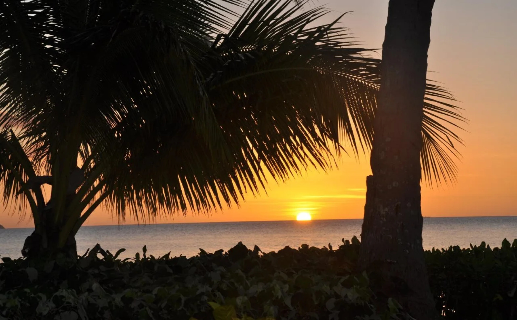 Nukubati Great Sea Reef