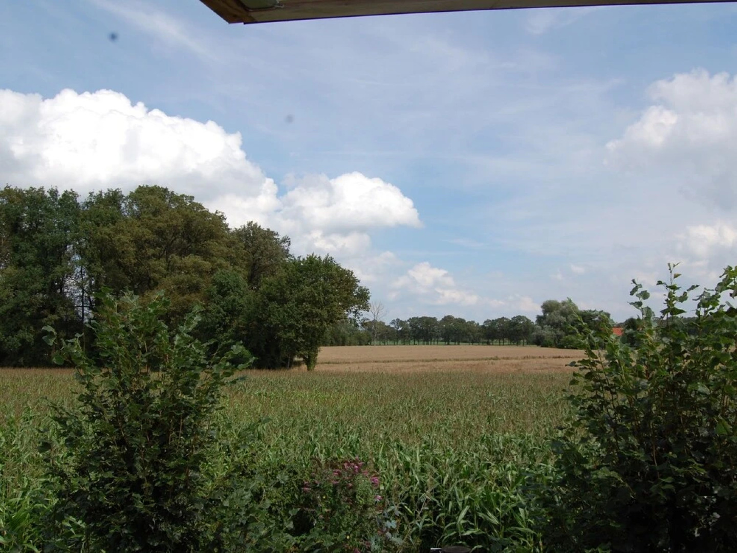Farmhouse in Winterswijk-woold With Terrace
