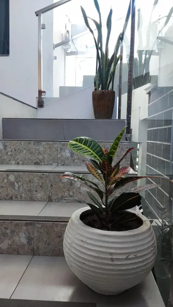 Hotel Galicia