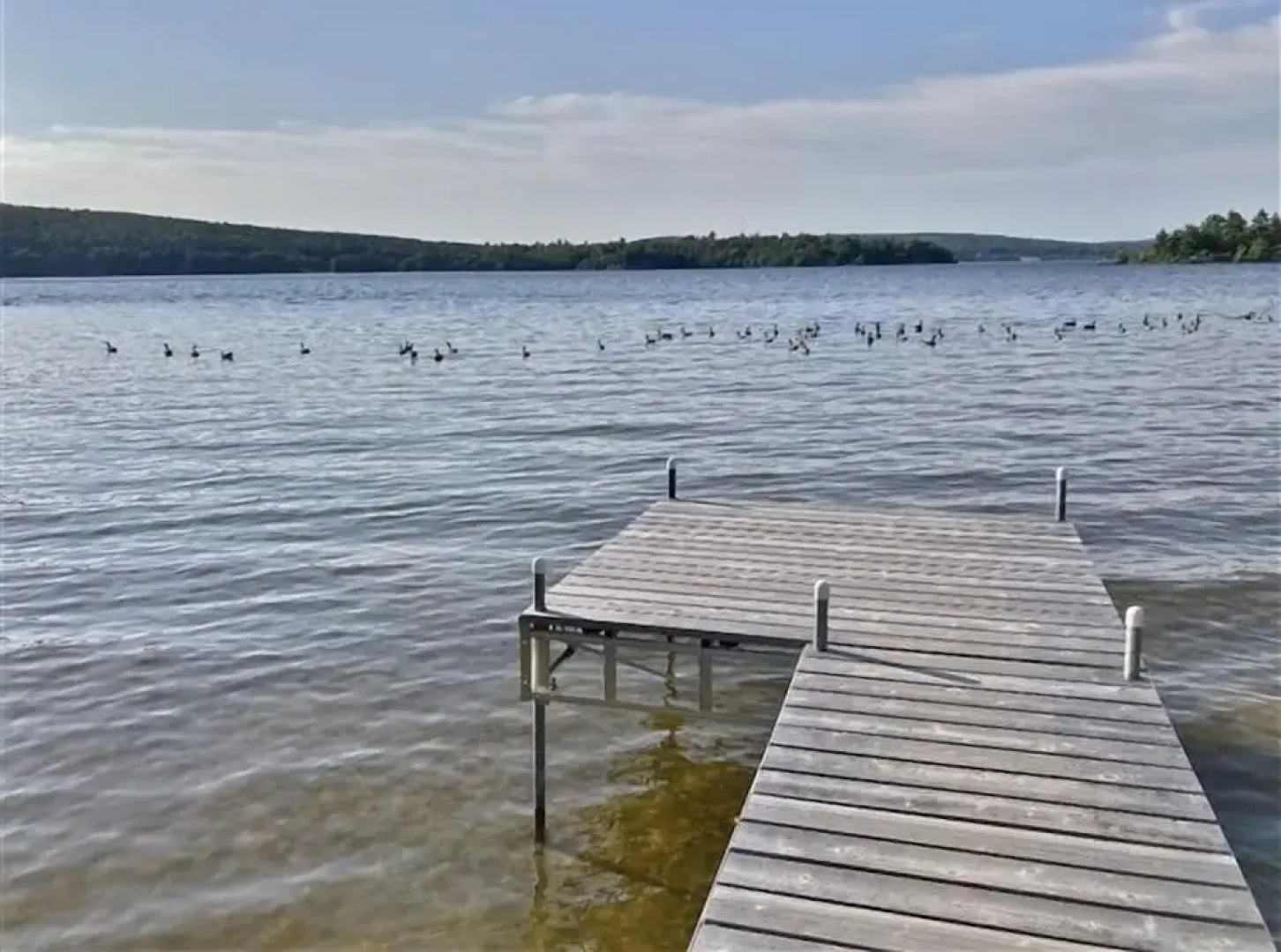 433 Kamaniskeg Lake 3 Bedroom Cottage