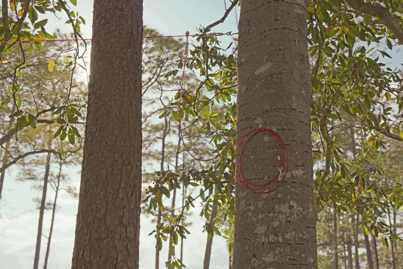 Secluded Waterfront Retreat for 23 Dock, Pets OK