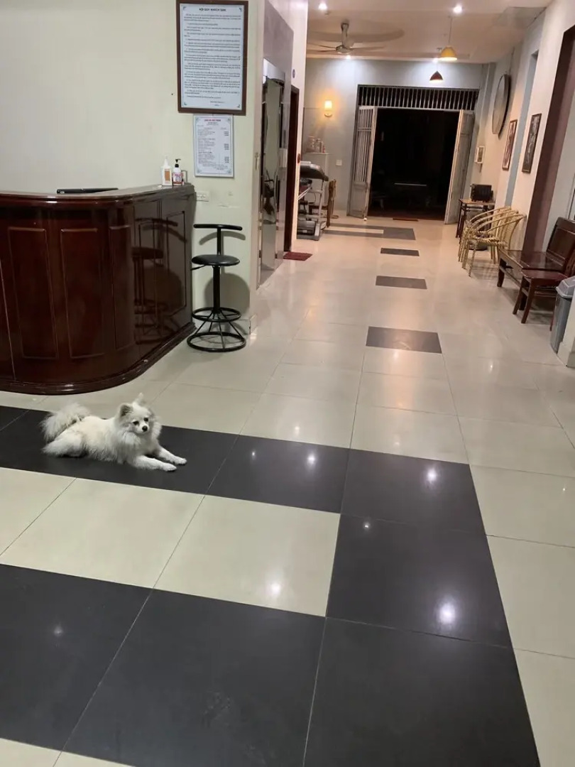 Sen Hotel Haiphong