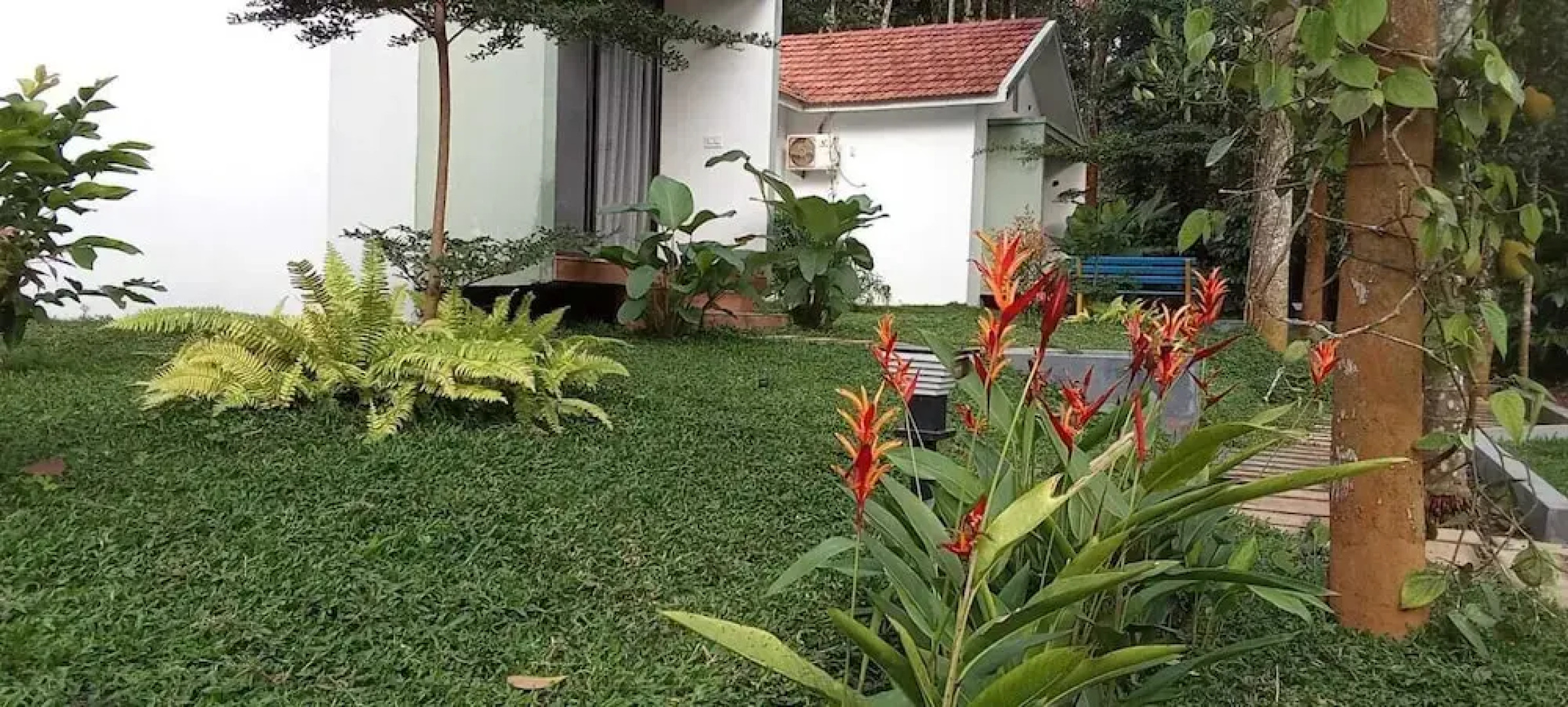 Le Vista Resort - Wayanad